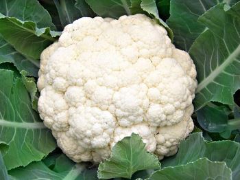 Cauliflower